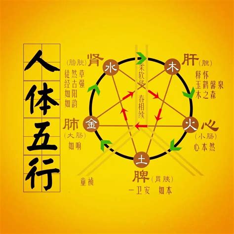 五行能量|易經術數：五行與人生中的五種力量解秘！